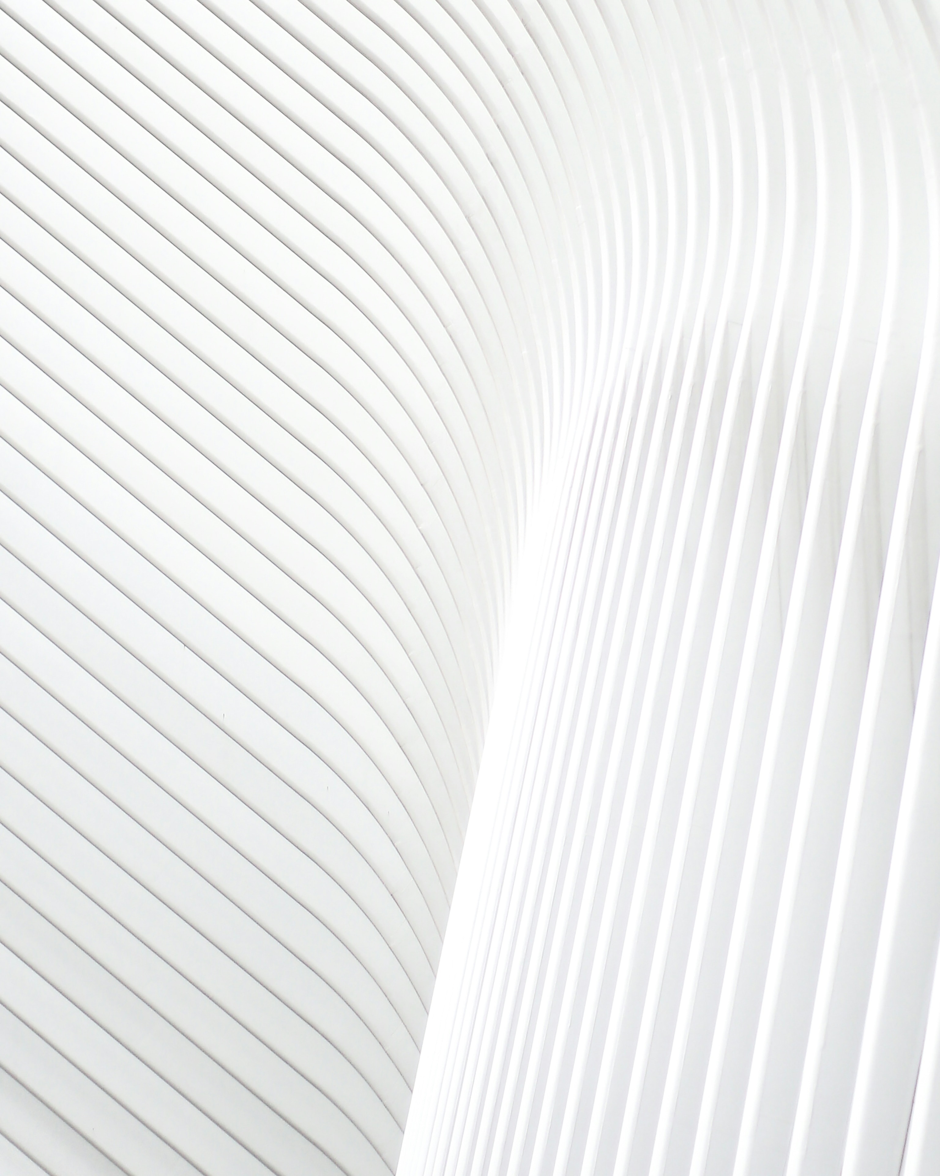 Flowing white architectural lines